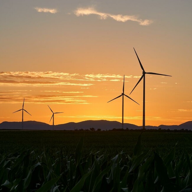 Wind turbines towering over a cornfield at sunset with a vibrant orange sky in the background.